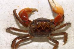 乐竟登录入口 -蟛 