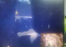 乐竟体育app -nba最严重十大冲突打架视频