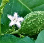 彔z濌?l党愅?謾开餃??*Y藦66s駼佔仇?郢???讈SH泔偲I 